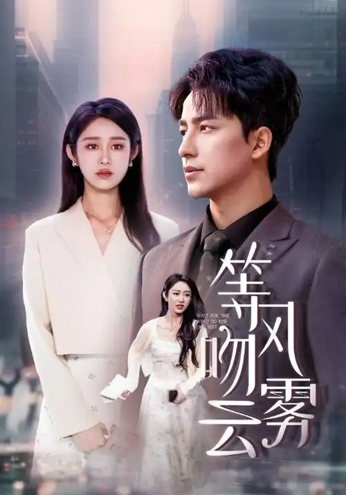 隐秘的角落剧集海报